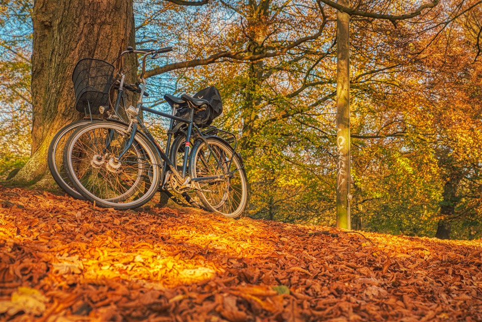 VIL DU KUNNE NYDE GÅ- OG CYKELTURE I DET SMUKKE DANSKE EFTERÅR?